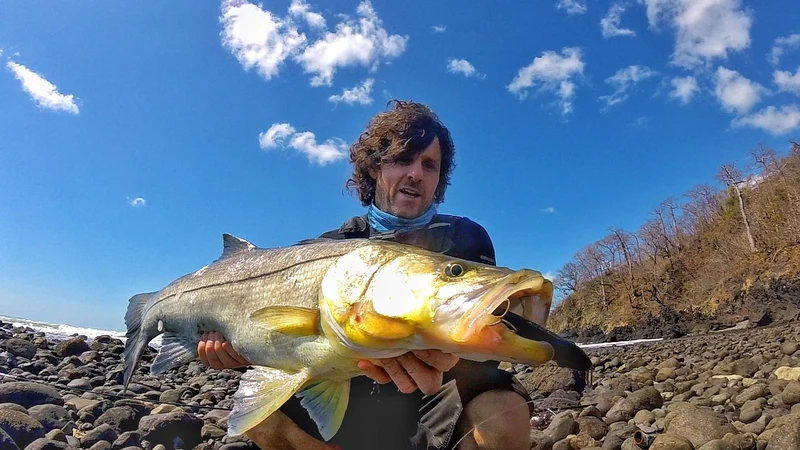 Tweak Bait - Slow Sink (Sub Surface) Samson Lures