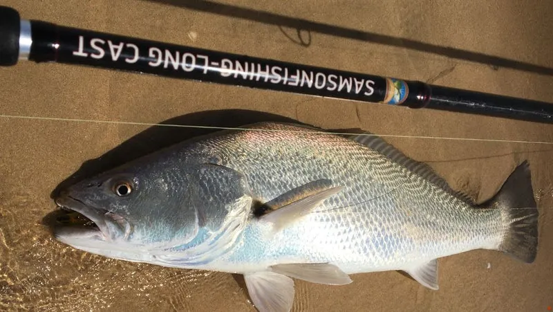 Samson Long Cast 12ft Spinning Rod - TODOS 30-100g