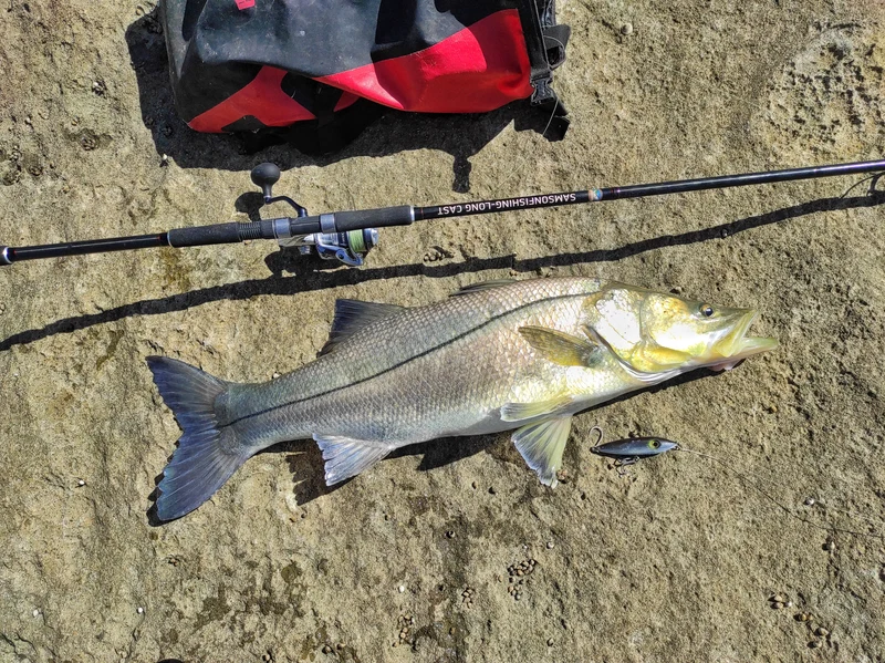 Samson Long Cast 12ft Spinning Rod - TODOS 30-100g