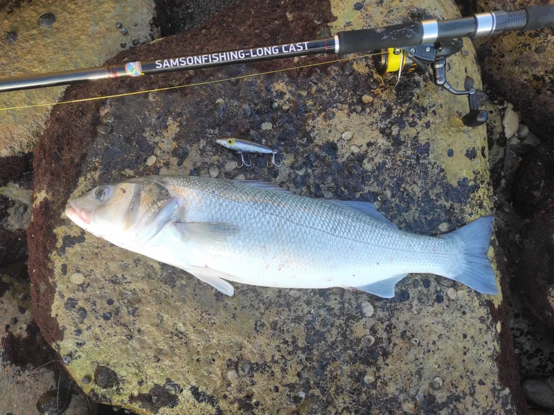 Samson Long Cast 12ft Spinning Rod - TODOS 30-100g
