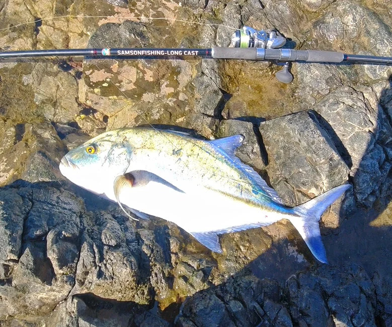 Samson Long Cast 12ft Spinning Rod - TODOS 30-100g