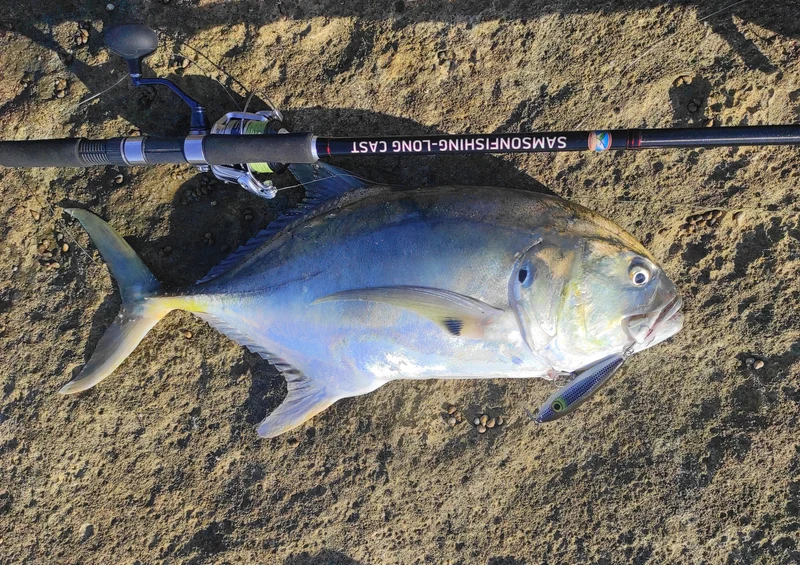 Samson Long Cast 12ft Spinning Rod - TODOS 30-100g