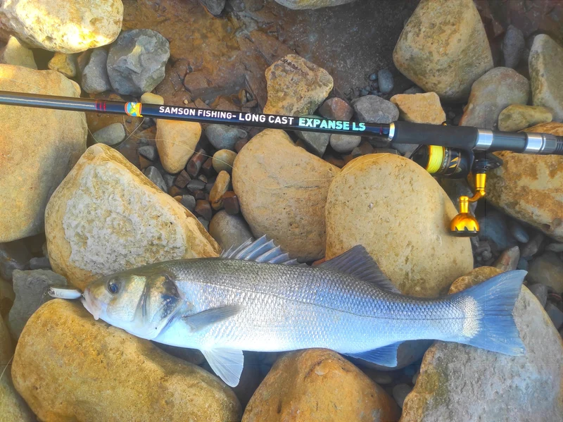 Samson Long Cast 12ft Spinning Rod - EXPANSE LS 15-60g