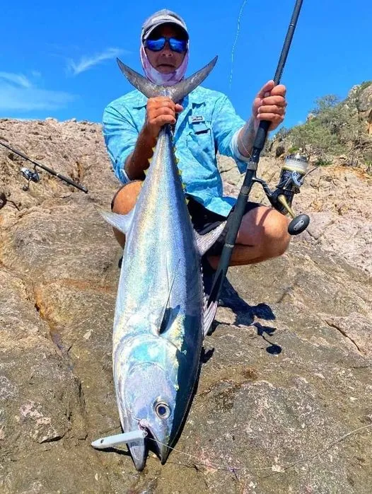Longtail Wedgie - Samson Lures