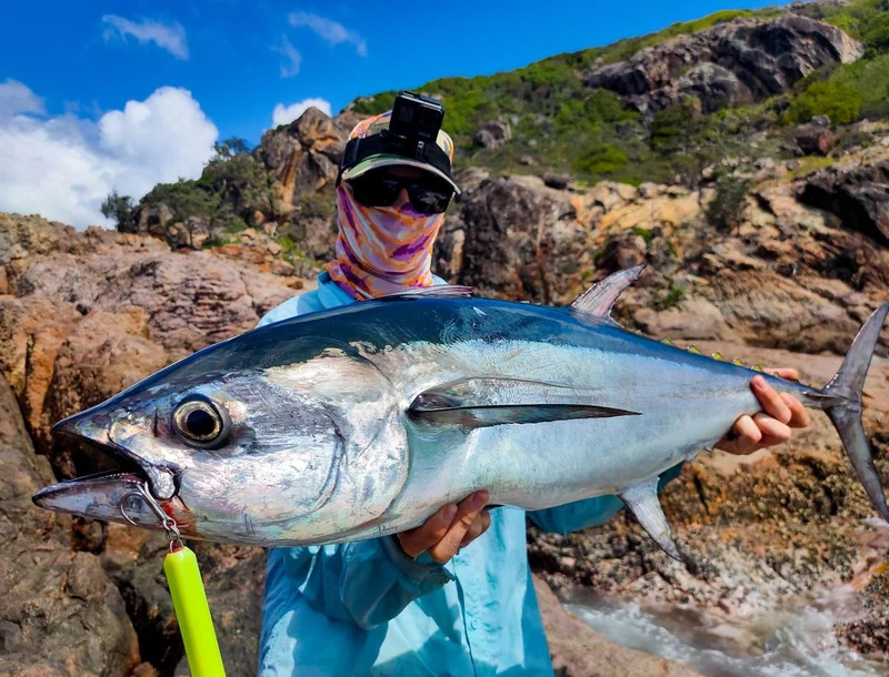 Longtail Wedgie - Samson Lures