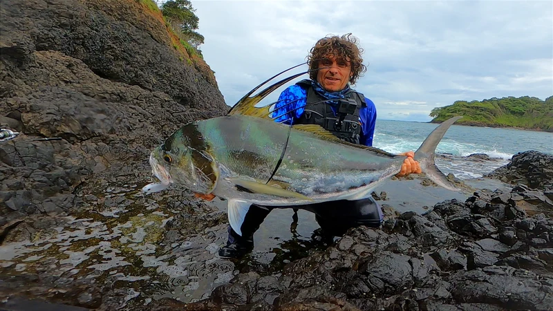 Shad - Samson Lures