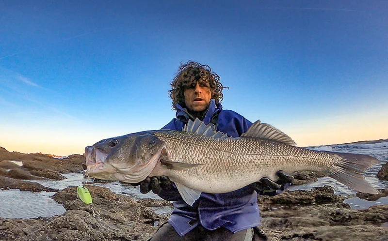 Shad - Samson Lures