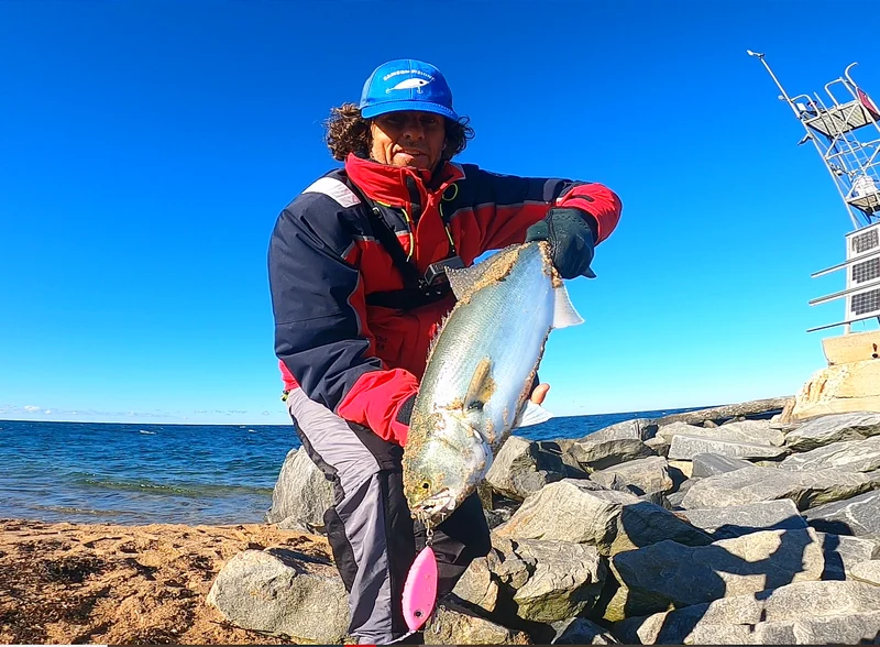 Shad - Samson Lures