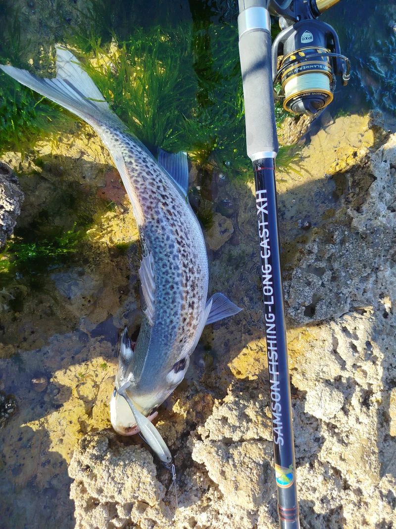 Waylander - Mean Minnow Soft Plastic x4 Bodies