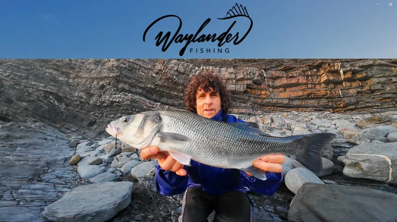 Waylander - Mean Minnow Soft Plastic x4 Bodies