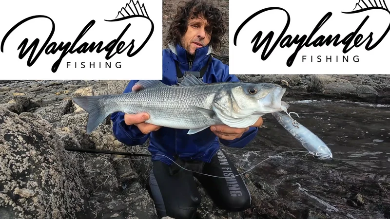 Waylander - Wayward 120 LF Minnow (Lead Free) 30g