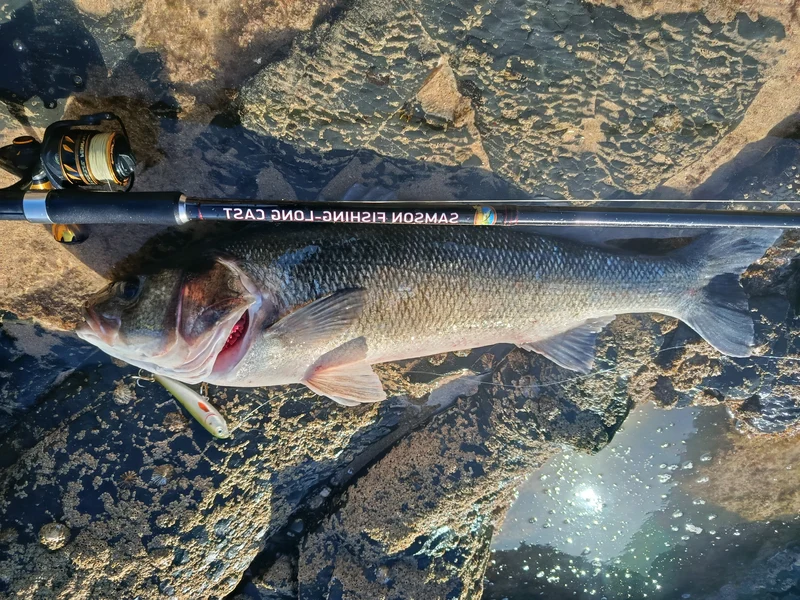 Waylander - Wayward 120 LF Minnow (Lead Free) 30g