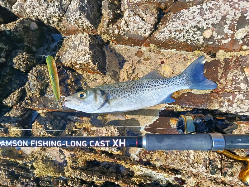 Waylander - Wayward 120 LF Minnow (Lead Free) 30g