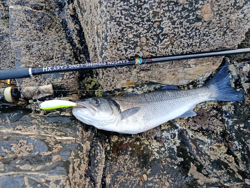 Waylander - Wayward 120 LF Minnow (Lead Free) 30g