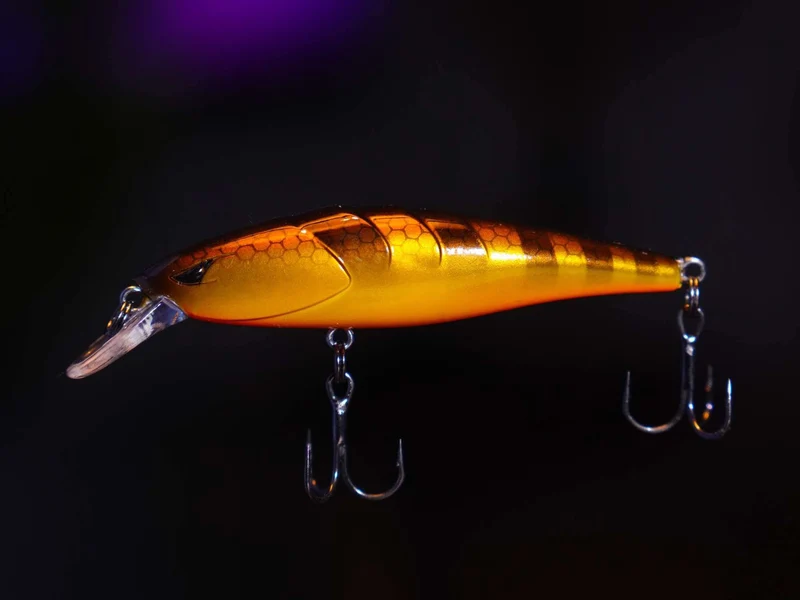 POISSON NAGEUR MORPHO Yasukē 63 SP - zébra fry