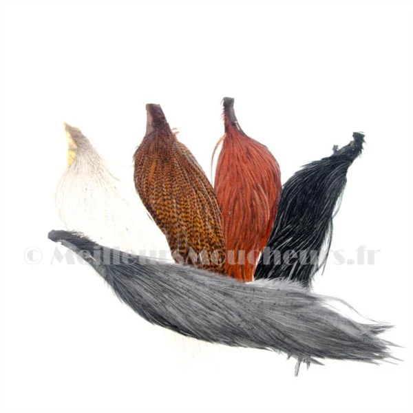 Demi cou de coq génétique grade 2