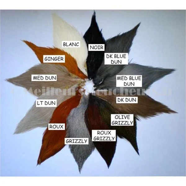 Cou de coq génétique grade 1